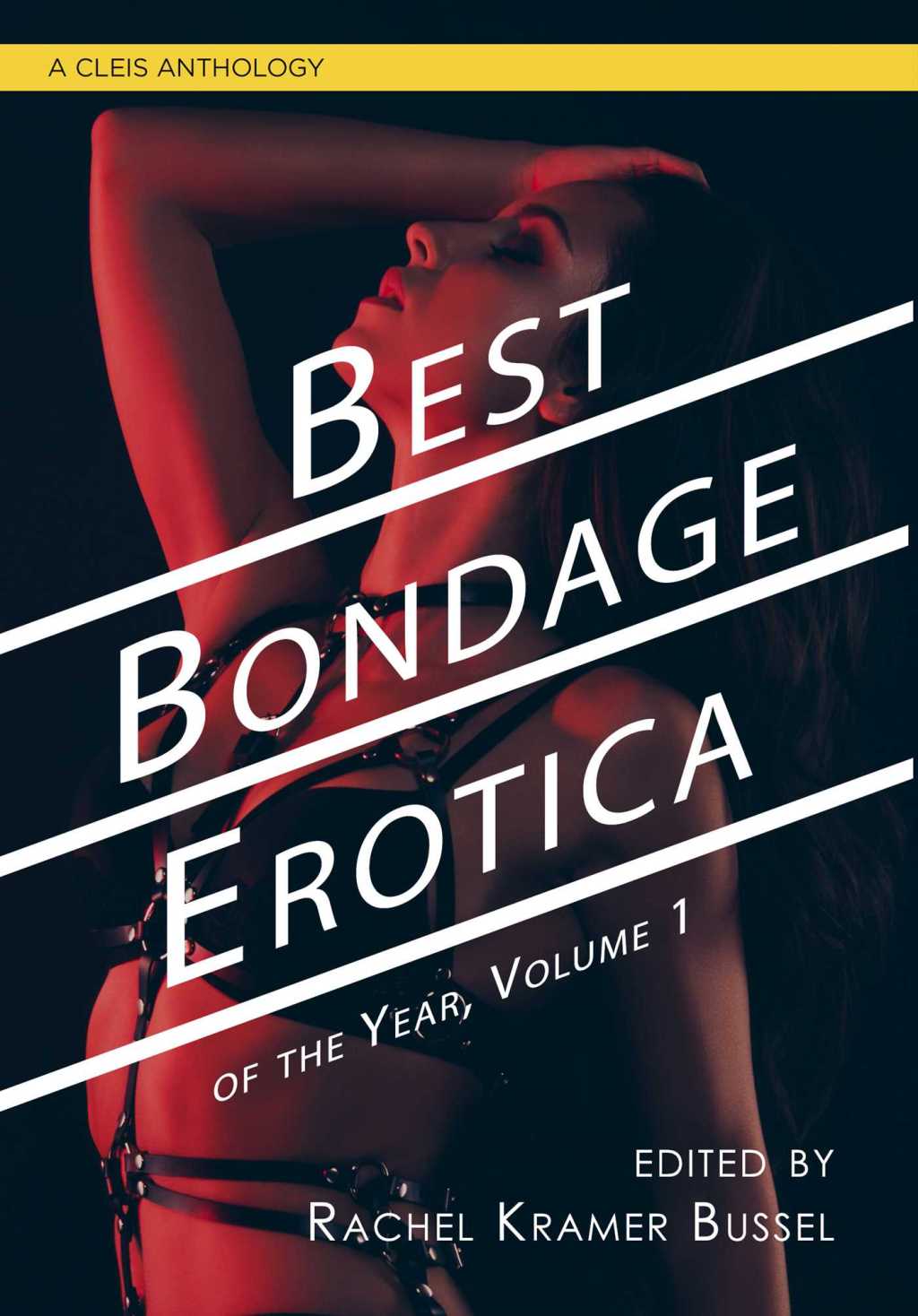 Book Review: Best Bondage Erotica of the Year Vol 1 edited by Rachel Kramer Bussel (erotica)